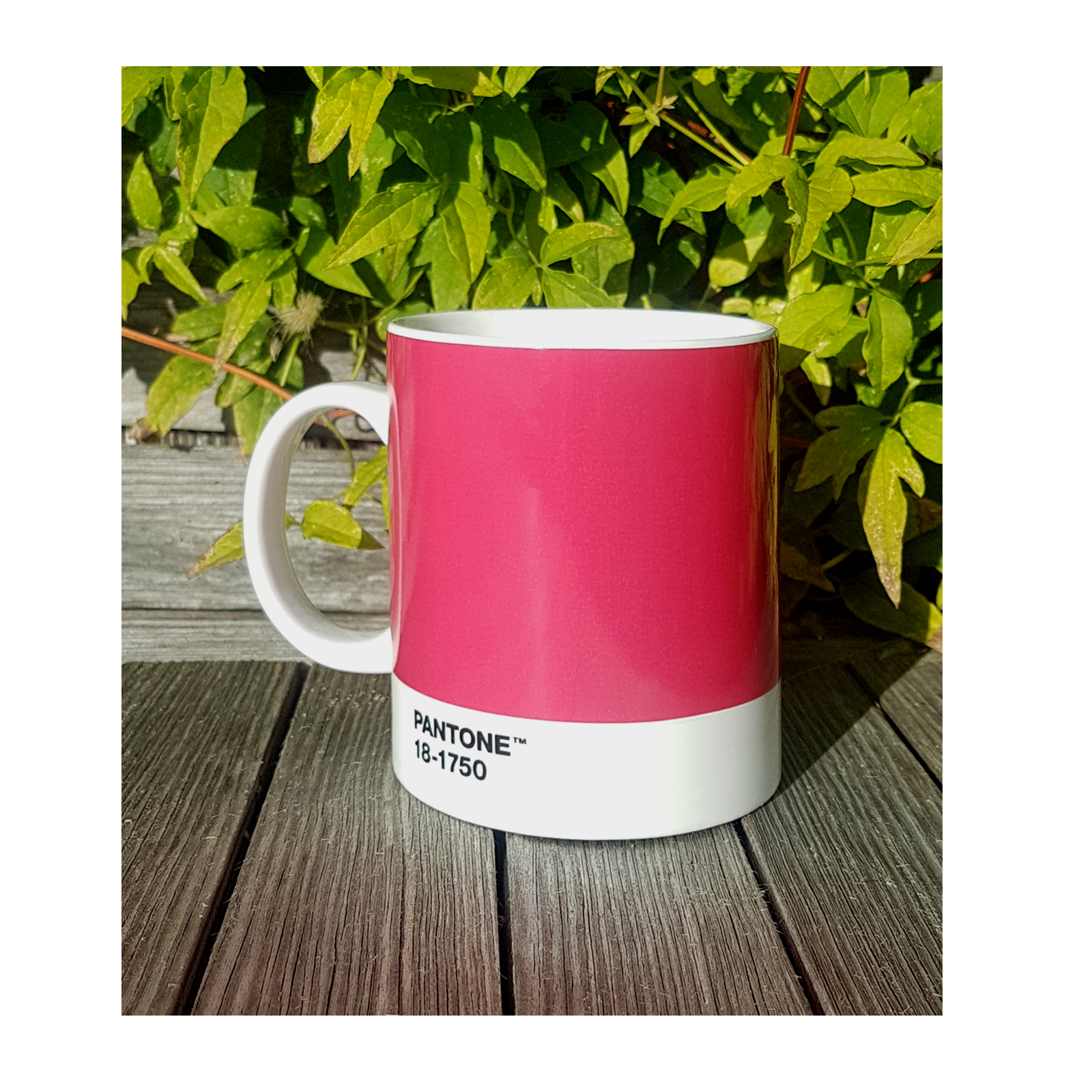 Pantone Viva Magenta Farbe 18-1750